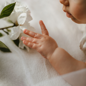 Niemowle dotykające białego kwiatu